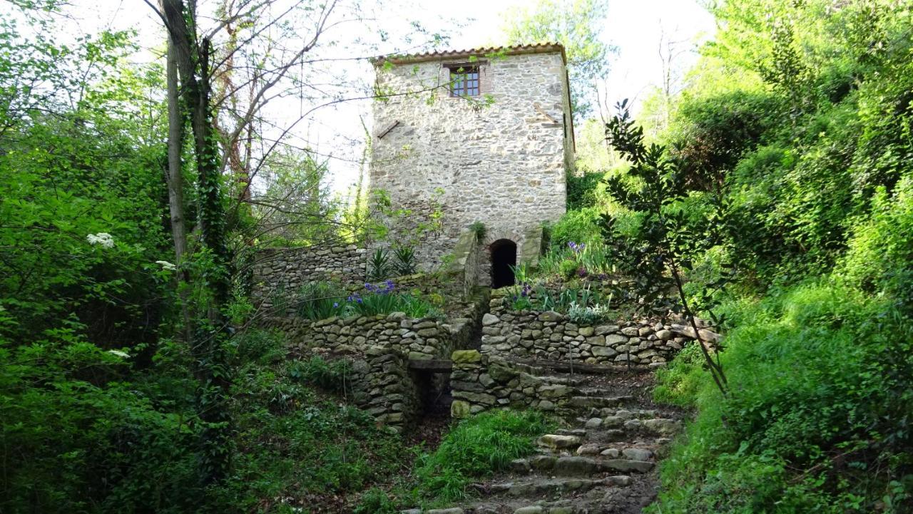 Gite Du Couchant Sorède Exteriér fotografie